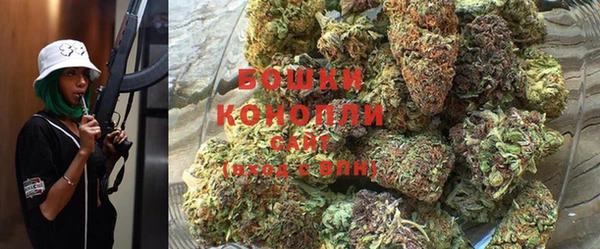 ГАЛЛЮЦИНОГЕННЫЕ ГРИБЫ Ростов