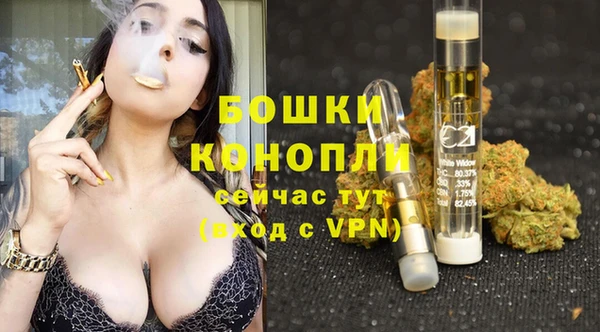 ГАЛЛЮЦИНОГЕННЫЕ ГРИБЫ Ростов